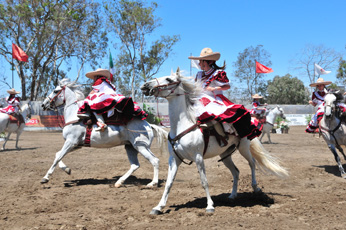 CALIENTE JOCKEY CLUB (4)
